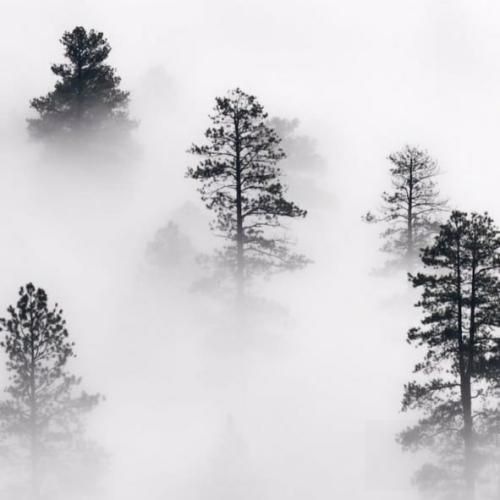 فاطمه رحمانی بیتاب توام