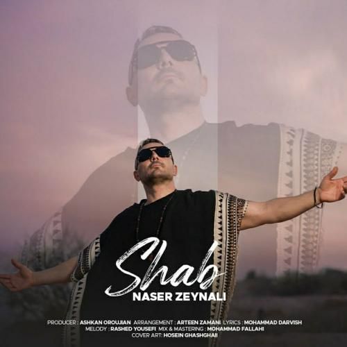 ناصر زینلی شب