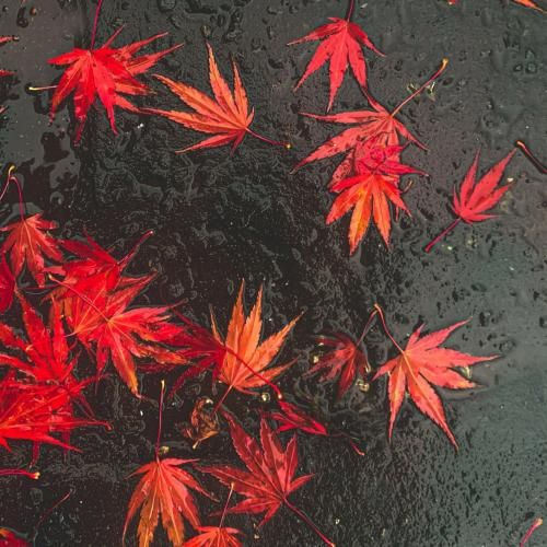 دانلود آهنگ یه روز دستاتو میگیرم تهران بازم بچه هرچی میپیچم