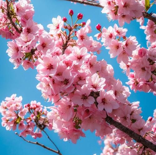 دانلود آهنگ نقابتو بردار بزار تا حرف دارم بهت بگم