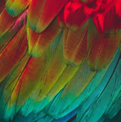 دانلود ریمیکس جدید اونی که دوسش داشتمو رفت روحش حالت تو توعه