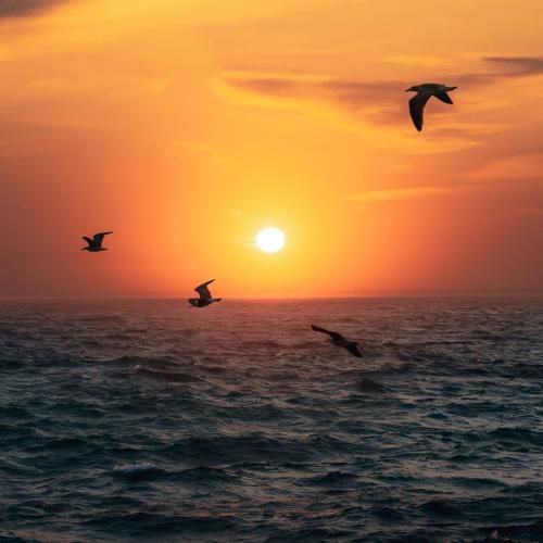 دانلود ریمیکس جدید مرا چشمیش خون افشان این آسمون سالهاست