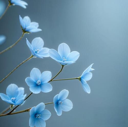 دانلود آهنگ هرجا که میرم تو دل من مست تا که میشم