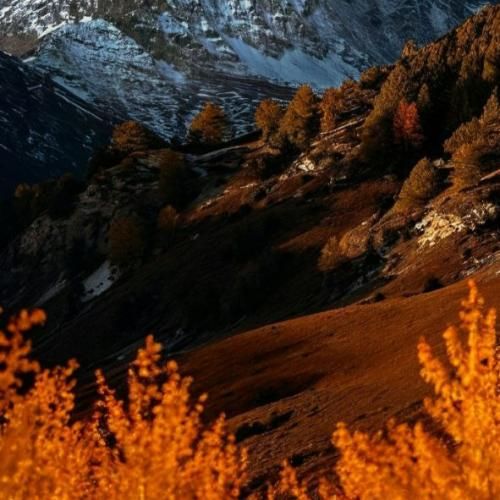 دانلود آهنگ میدونم دلت مثل من پره بذار دستامو بپیچم