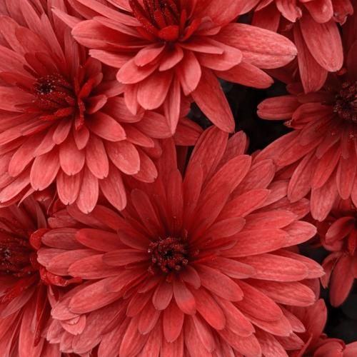 دانلود ریمیکس جدید ته جذابیتت جاذبه ی اون دو چشات