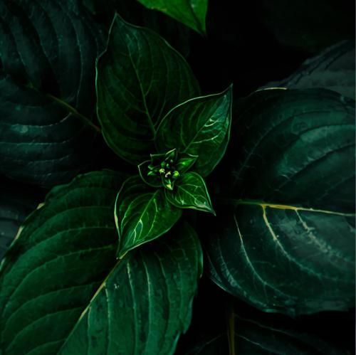 دانلود ریمیکس جدید الان دختر اوضاع بد خیته توی باغچه ی دلم