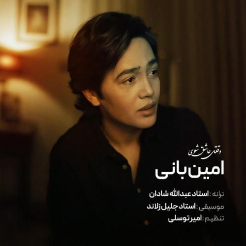 دانلود آهنگ امین بانی به نام وقتی عاشق شوی