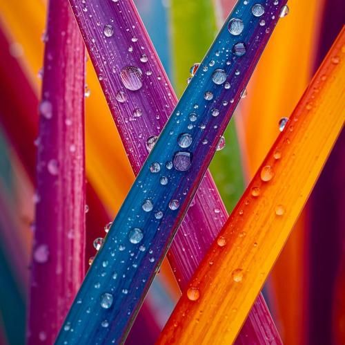 دانلود آهنگ همه میشن اکس همه میخورن اکس