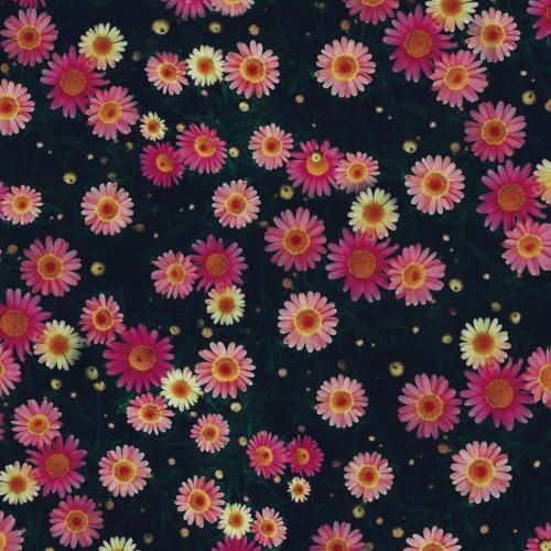 دانلود آهنگ سلامتی ستونا چاقی نیا توروما میپیچیم توبلوکادا