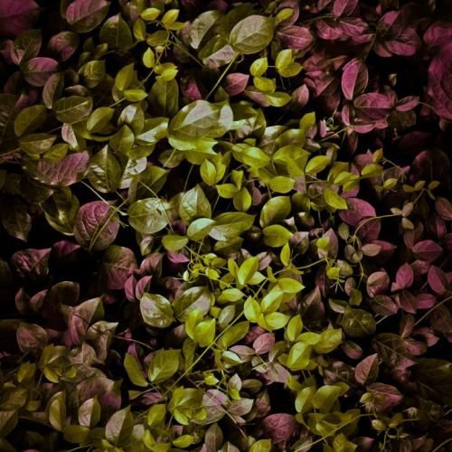 دانلود ریمیکس جدید میگن چرا ازش خداحافظی نکردی من سر سلام