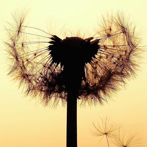 دانلود ریمیکس جدید نمیدونم شایدم نمیدونی که سر هرچی بشه بهم میگی