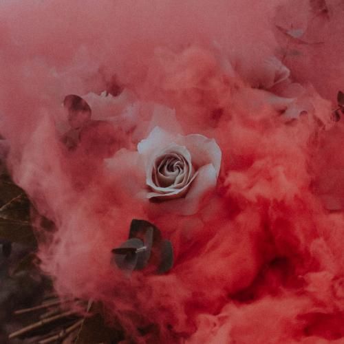 فاطمه رحمانی مادر