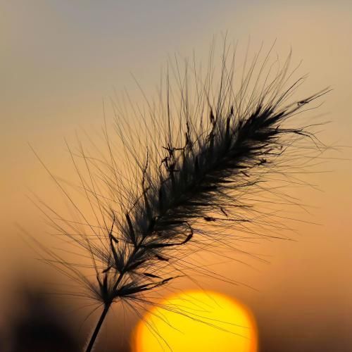 دانلود ریمیکس جدید منو داری خیالت تخت هر چی میخواد پیش بیاد