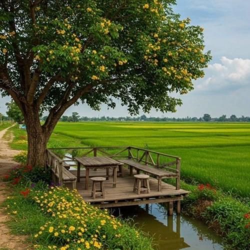 فاطمه رحمانی یادش بخیر