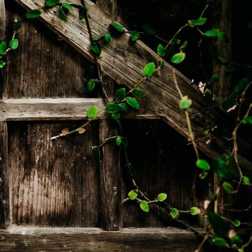 دانلود ریمیکس جدید بی حس شدم نامبه نامب همه خیره رو من شدن