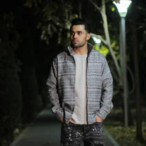 دانلود آهنگ دیان به نام گل من بودی کردم پرپرت گرگای زخمی