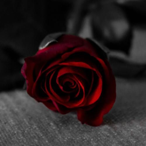 ببین چی ساختی تو از منه دیوونه که الان این شدم