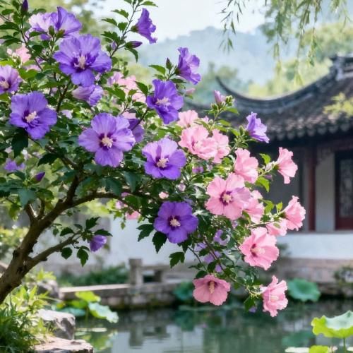 دانلود آهنگ ولی من عاشق موی خرمنت بوی گردنت