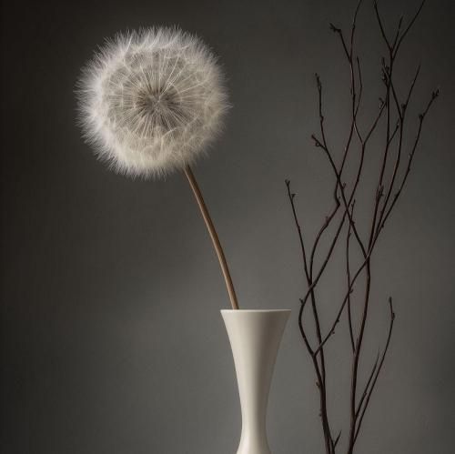 دانلود آهنگ واسه زنده بودن خودمم شرمندم سپهر بابا کجایی