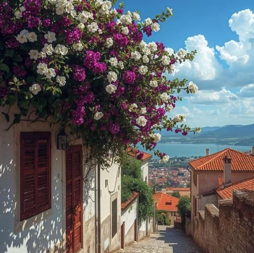 دانلود ریمیکس جدید همش تو فکرمه بزارم برم حق بدید یه بارم