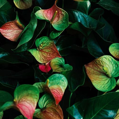 دانلود ریمیکس جدید روزای روشن خداحافظ سرزمین من خداحافظ