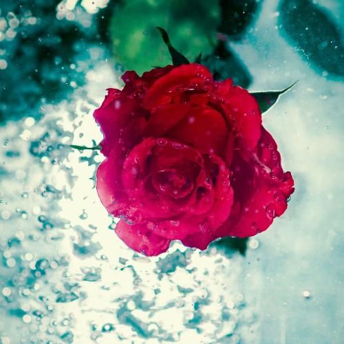 دانلود ریمیکس فاطمه عطایی به نام بمردمه مار