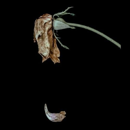 دانلود ریمیکس جدید داد میزنه سپهر من کجایی بابا کی این جنایتو از یاد میبره