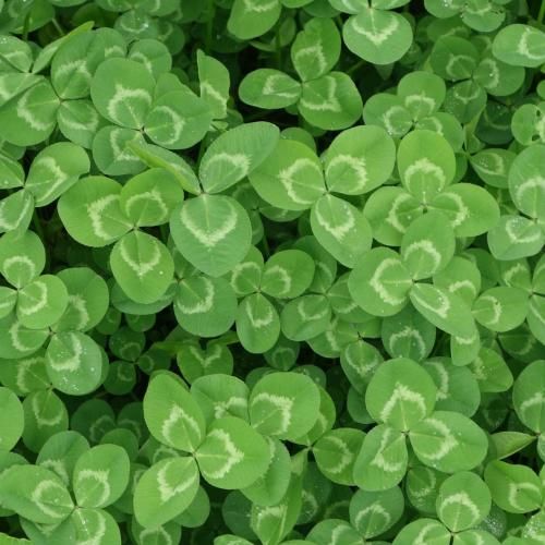 دانلود ریمیکس جدید ندید مارو خدا انگار مگه نگفتی خودتو به خدا بسپار