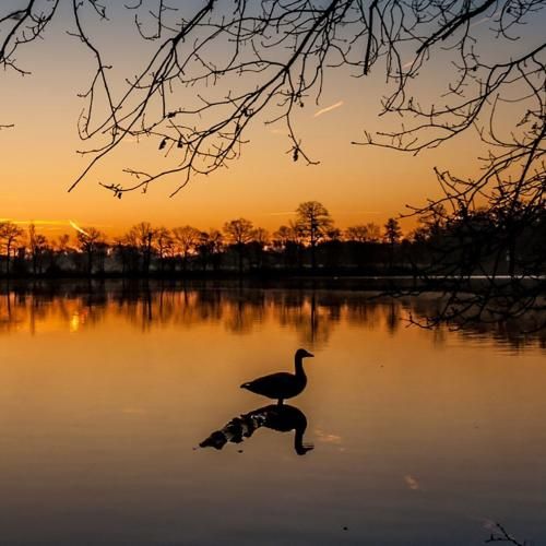 دانلود آهنگ دو دست یافتم رو اسب تاختم کاخ هارو سوزوندم