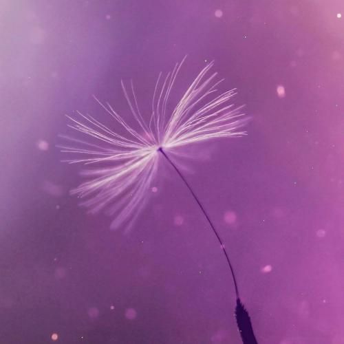 دانلود آهنگ دل من هواتو کرده اما دیگه خطت خاموشه