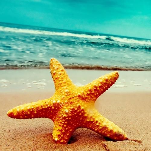 دانلود آهنگ تو میگی تروریست من میگم زن یا بچه