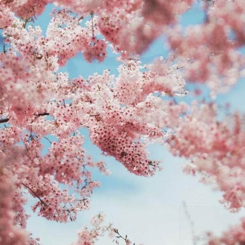 دانلود ریمیکس جدید کارد فرو نمیره تو قلب سنگی اهل جنگیم