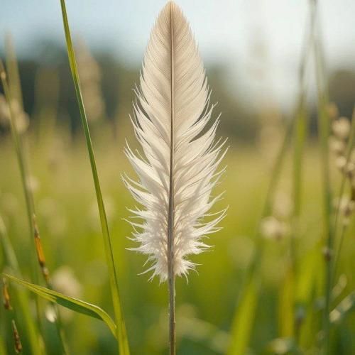 دانلود ریمیکس جدید قصه اونجا بامزه شد که از ما خسته شد