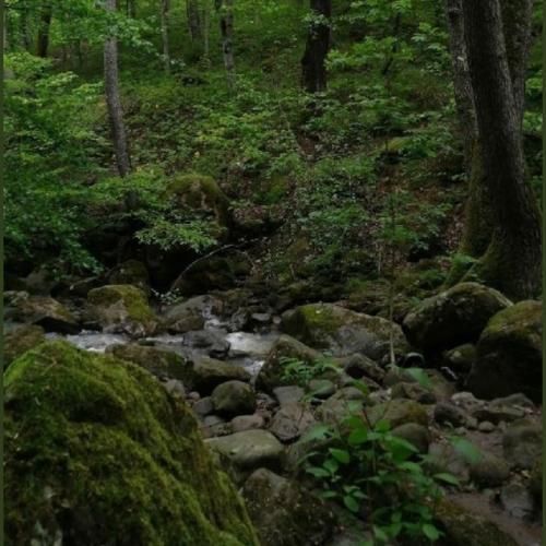 سفر کردم که از یادم بری ترند اینستا