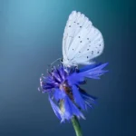 یکی تو 207 نمیدونم کیه پلاک 480 نمیدونم کیه