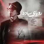 رویای ساده مرتضی پاشایی