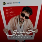 دانلود آهنگ جدید حبیبی از ساواش