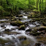 دانلود آهنگ جدید دفاع قوی مثله وینچنرو دی تانو وسط میلانو تیپم دانلود آهنگ جدید دفاع قوی مثله وینچنرو دی تانو وسط میلانو تیپم